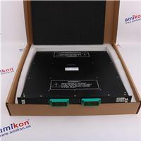 Triconex 4200N   * sales8@amikon.cn